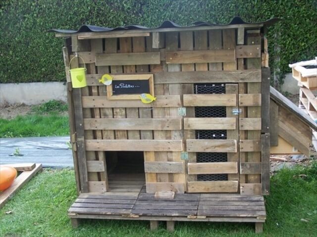  the pallet chicken coop and manage the food and water of the chickens