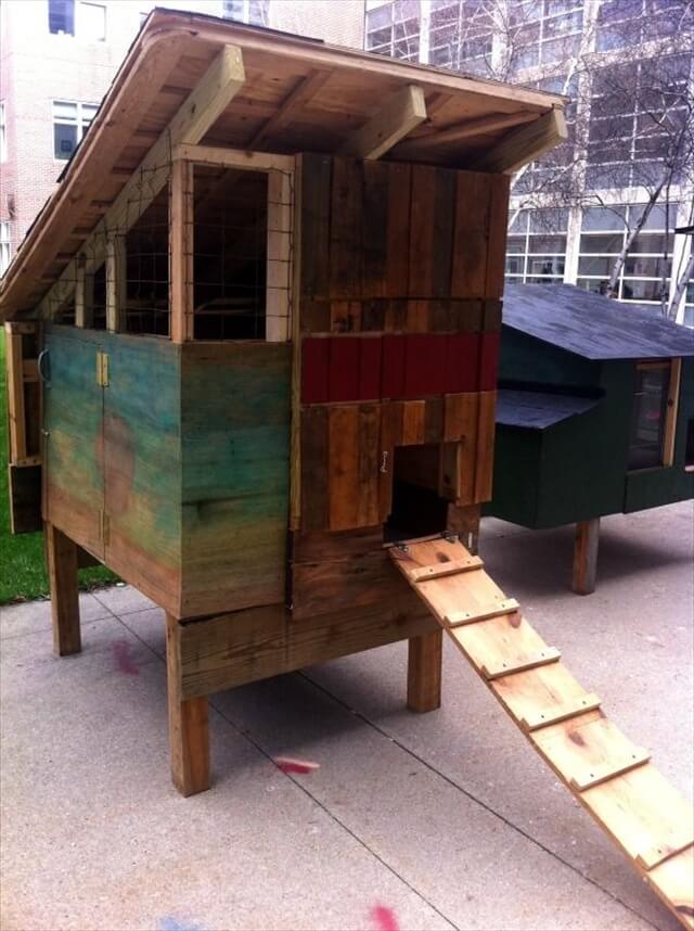 ... the pallet chicken coop and manage the food and water of the chickens