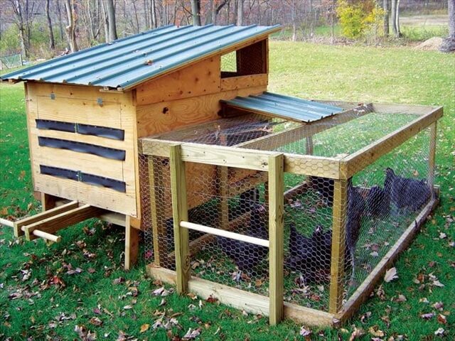  the pallet chicken coop and manage the food and water of the chickens