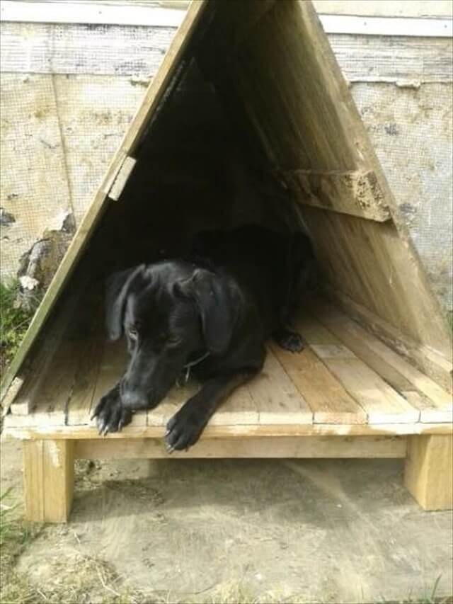 Bring the Luck to Home: 16 Pallet Dog House  Pallet Furniture DIY
